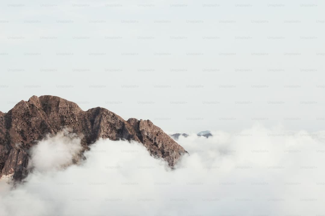 丰泽区重点项目建造“蹄疾步稳”